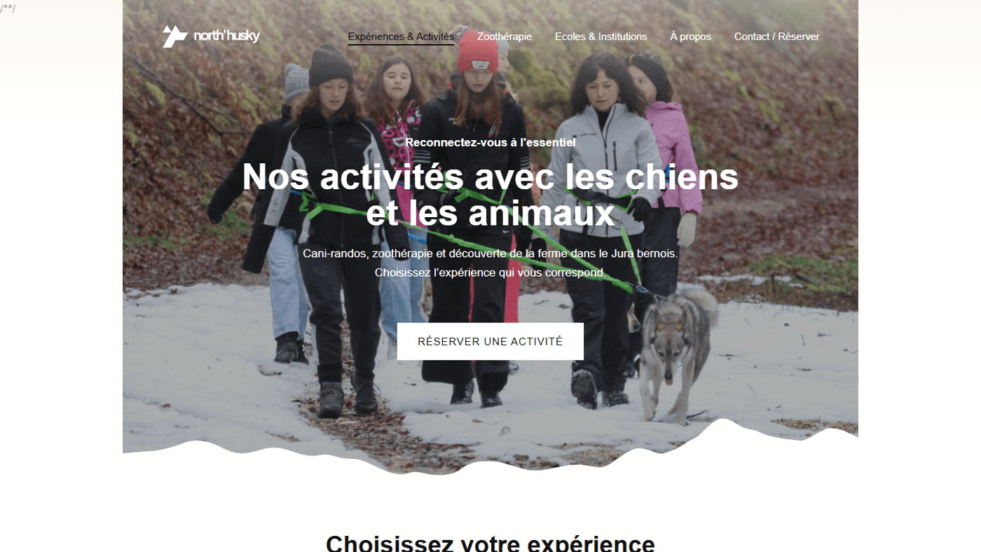 Aperçu du projet North Husky