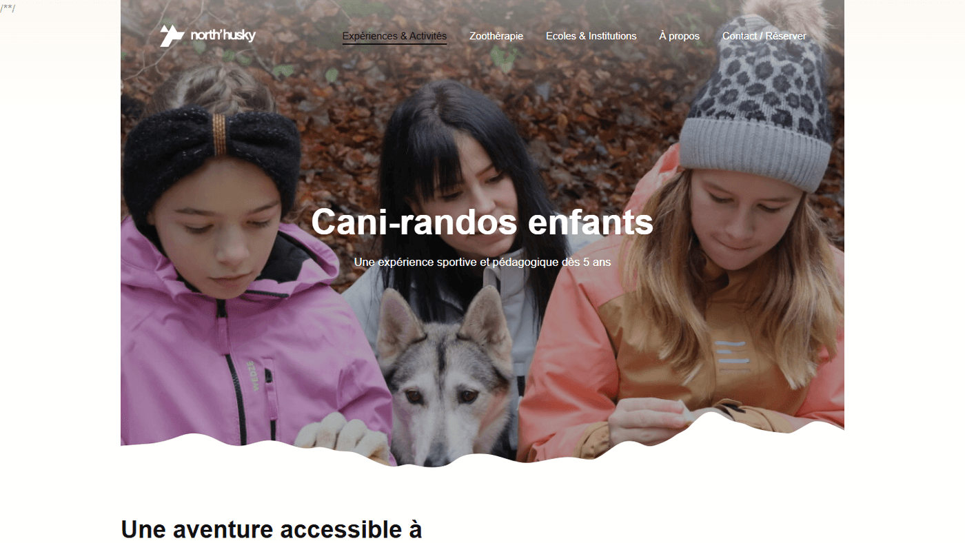 Aperçu du projet North Husky