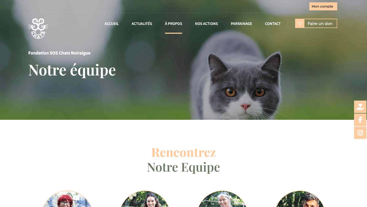 Aperçu du projet Fondation SOS Chats